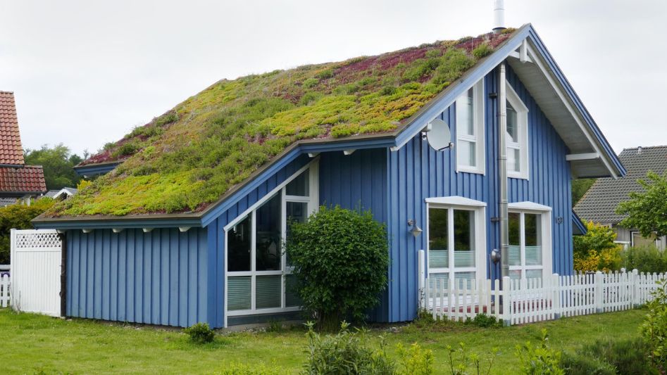 Green Roofs for Home Energy Savings